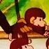 Обезьянки The Monkeys Оbezyanki Все серии подряд Смешные мультфильмы для детей Даша ТВ