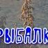 Аудиокнига Юрий Насыбуллин Рассказы Пурга и Зимняя рыбалка Читает Марина Багинская