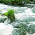 Green Stream Flowing In Aomori Forest Nature Sounds Forest River Sound White Noise For Sleeping