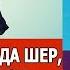 Nodirbek Hayitov Erkaklar Ko Chada Sher Uyda Qo Zichoq