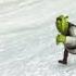 Shrek 5 Teaser