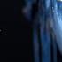 The Viking Queen Ethereal Nordic Ambient Music