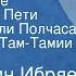 Константин Ибряев Удивительные приключения Пети Сверчкова или Полчаса в стране Трам Там Тамии