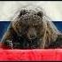 РОССИЯ ВПЕРЁД