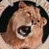 Metro Goldwyn Mayer Мария Мирабелла Фильм