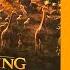 The Lion King 2019 Movie Date
