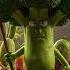 Brocoli Bary Story Vegetables Broccoli Shorts Memes Greenlovers