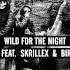 ASAP Rocky Feat Skrillex Birdy Nam Nam Wild For The Night