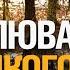 ПОЛЮВАННЯ НА КОПИТНОГО ЗВІРА І СПРАВЖНІ ДИКІ ЕМОЦІЇ І СТУКІТ СЕРЦЯ МИСЛИВЦЯ