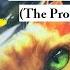 Bookquester Warriors Series1 6 The Darkest Hour The Prophecies Begin