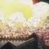 ATTACK ON TITAN SEASON 3 OST SCORE II APPLE SEED ANIME VERSION