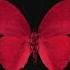 Ludovico Einaudi Main Theme Of The Third Murder Slowed To Perfection