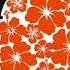 100blumen Hardy Plant Asche Vs Morgenstern Remix