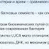 Михаил Никитин Лекция 10 LUCA вирусы происхождение ДНК и систем ее копирования