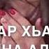 Карор хьуна к1ентий шорта хьом хаза ю хьом жима ю