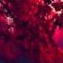 Valence Infinite NCS Release Free Sound Music NoCopyrightSounds