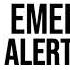 Emergency Alert System EAS Sound Effect ProSounds