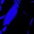 Endeavors Instrumental Vs Sonic EXE 2 5 OST CANCELLED