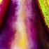 Tash Euphoria