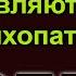 Власть психопаты и женщины Джо Роган Джордан Питерсон перевод