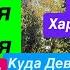 Днепр Взрывы Харьков Убиты Люди Эвакуация Населения Ждуны не Уезжают Днепр 1 ноября 2024 г