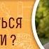 Как избавиться от ревности Профессор Алексей Ильич Осипов