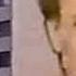 OLTL Opening 1987 4