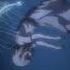Attack On Titan ෆ Дерево страстей