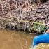 Fishing An Isolated Pool In A Dried Up Creek