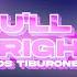 Los Tiburones You Ll Be Bright Official Lyric Video