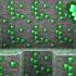 Minecraft But I Have 1 000 000 Emeralds