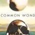 Common Stevie Wonder A Common Wonder Amerigo Gazaway Full Album