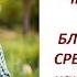 Как образуются питательные вещества в почве 641 24