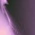 00 00 Cover
