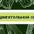 Биология 8 класс 12 Нарушения опорно двигательной системы Травматизм