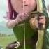 Clash Of Clans NEGUS Hog Rider Meme