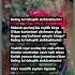 Keling Ko Rishaylik Sinfdoshlarim