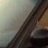 The Rasmus Night After Night Street Racers Wmv
