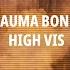 Trauma Bonds By High Vis Lyric Video