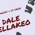 Dale Bellakeo