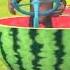 MONKEY RIDES A WATERMELOON FULL VERSION 1080p ОБЕЗЬЯНА ЕДЕТ НА АРБУЗЕ ПОЛНАЯ ВЕРСИЯ ЧАСТЬ1