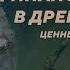 Кредитные бирки финансовый инструмент Древней Руси Павел Колосницын Родина слонов 397