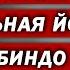 Супраментальная и интегральная йога Шри Ауробиндо 1 часть сатсанга с Андреем Трофимовым