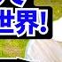 母国じゃあり得ない こんなの予想外よ 初来日の外国人に日本の印象や驚いたことを聞いてみた 外国人インタビュー 海外の反応