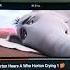 Horton Hears A Who Horton Crying