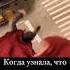Ни слова больше художник Artists Arts картина арт Castom картинымаслом творчество