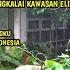 OMA METIA KEDATANGAN TEMAN SEBANGKU WAKTU KULIAH DI UNIVERSITAS INDONESIA