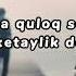 Yolg Izbek Eldar O Tdi Uni To Yi Sevgidan Kuyganlar Uchun