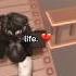 No Caption Idea Cr Robloxbaee