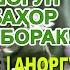 1998 Шогун Баҳор Муборак Душанбе Паллаев Рақоса Аноргул Қурбонмамадова Channel VoHid EdiTor